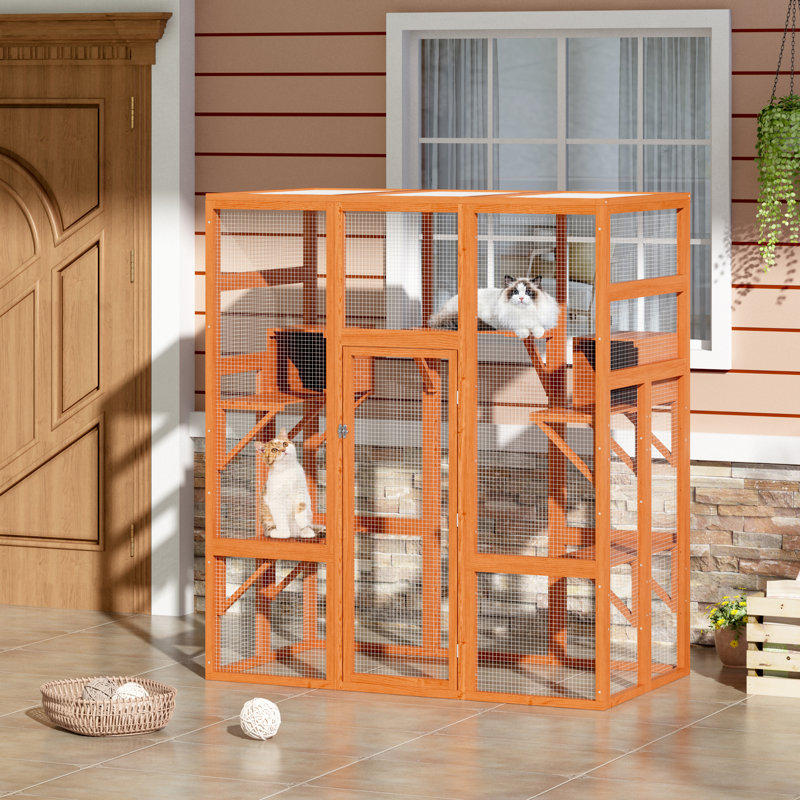 Cabane Cat Cage